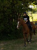 DSC01989 DSC01989