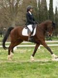 24_08783