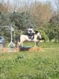 24_05908 24_05908