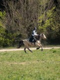 24_05909 24_05909