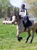 IMG_1156 IMG_1156