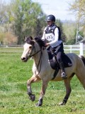 IMG_1157 IMG_1157