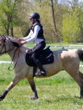IMG_1163 IMG_1163