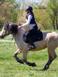 IMG_1165 IMG_1165