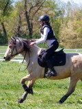 IMG_1166 IMG_1166