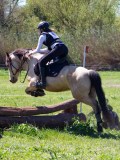 IMG_1169 IMG_1169