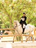 DSC07539 DSC07539