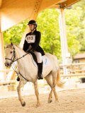 DSC07540 DSC07540