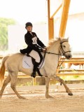 DSC07555 DSC07555