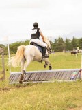 DSC08723 DSC08723