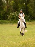 DSC08743 DSC08743