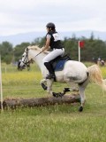 IMG_3607 IMG_3607