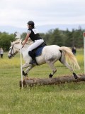 IMG_3608 IMG_3608