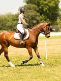 DSC00466 DSC00466