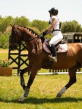 DSC00467 DSC00467