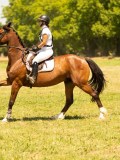 DSC00476 DSC00476