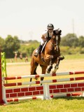 DSC00478 DSC00478