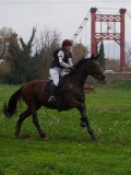 IMG_0599 IMG_0599