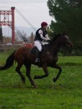 IMG_0602 IMG_0602