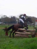 IMG_0610 IMG_0610