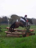 IMG_0611 IMG_0611