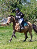 IMG_1173 IMG_1173