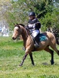 IMG_1174 IMG_1174