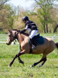 IMG_1179 IMG_1179
