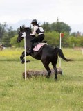 IMG_3462 IMG_3462