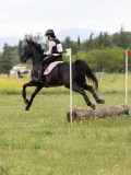 IMG_3463 IMG_3463