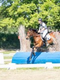DSC08186 DSC08186