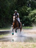 IMG_6656