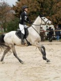 DSC04795 DSC04795