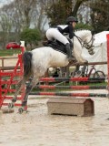DSC04796 DSC04796