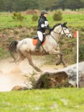 DSC05868 DSC05868
