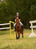DSC08440 DSC08440