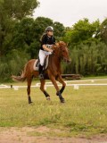 DSC08443 DSC08443