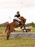 DSC08446 DSC08446