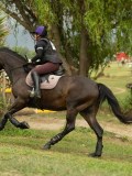 MAX02371