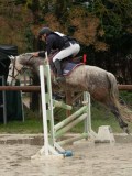 DSC04826 DSC04826