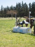 24_05961 24_05961