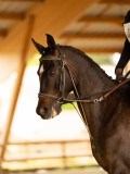 DSC07649 DSC07649
