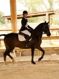 DSC07650 DSC07650