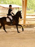 DSC07655 DSC07655