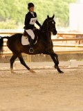 DSC07656 DSC07656