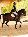 DSC07665 DSC07665