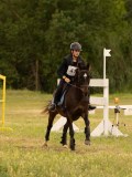 DSC08431 DSC08431