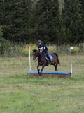 IMG_3433 IMG_3433