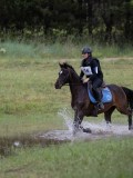 IMG_3434 IMG_3434