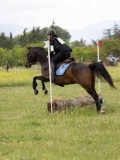 IMG_3439 IMG_3439